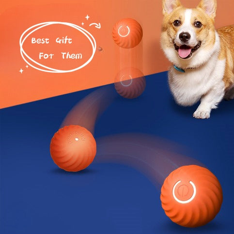 Bouncy Rubber Ball Chew Toy For Dogs Resistance To Bite