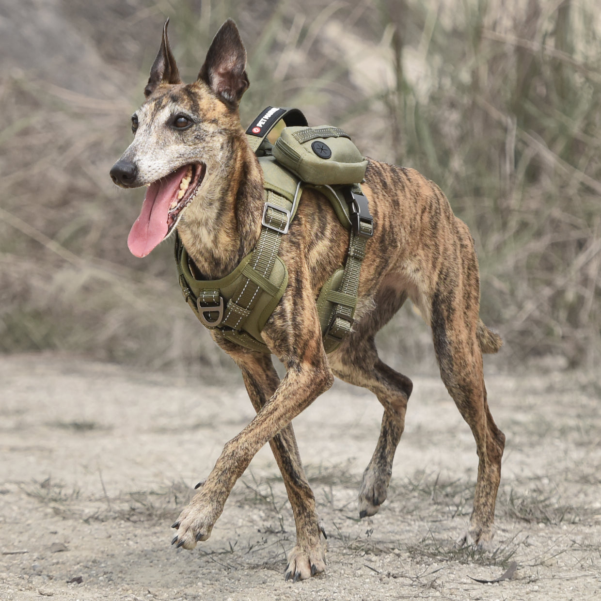 High-Perfomance Tactical Dog Harness With Backpack